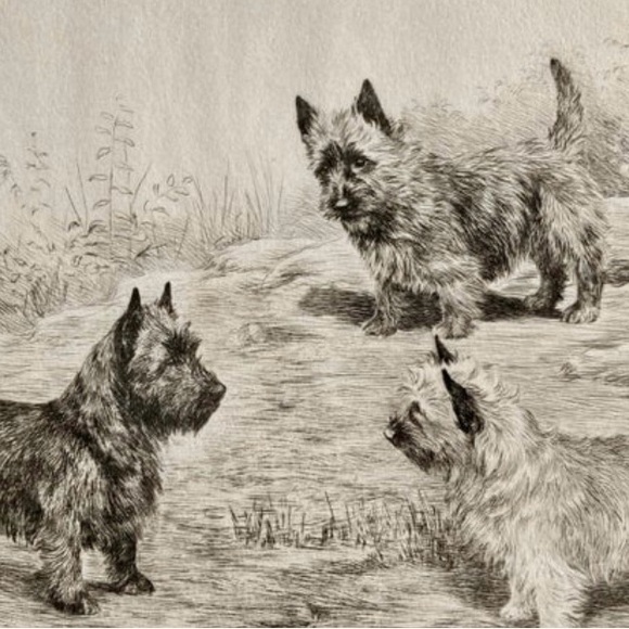 1930 Three’s A Crowd Cairn Terrier Framed Print. Artist is Marguerite Kirmse. - Picture 7 of 8